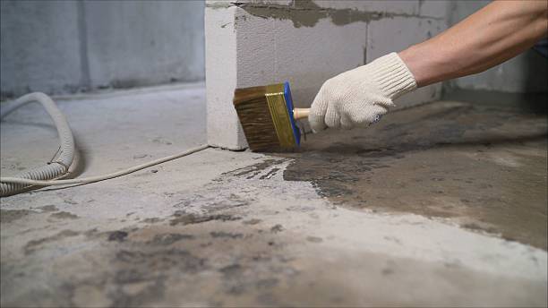 24/7 Emergency Wet Basement Repair experts in Southgate, MI